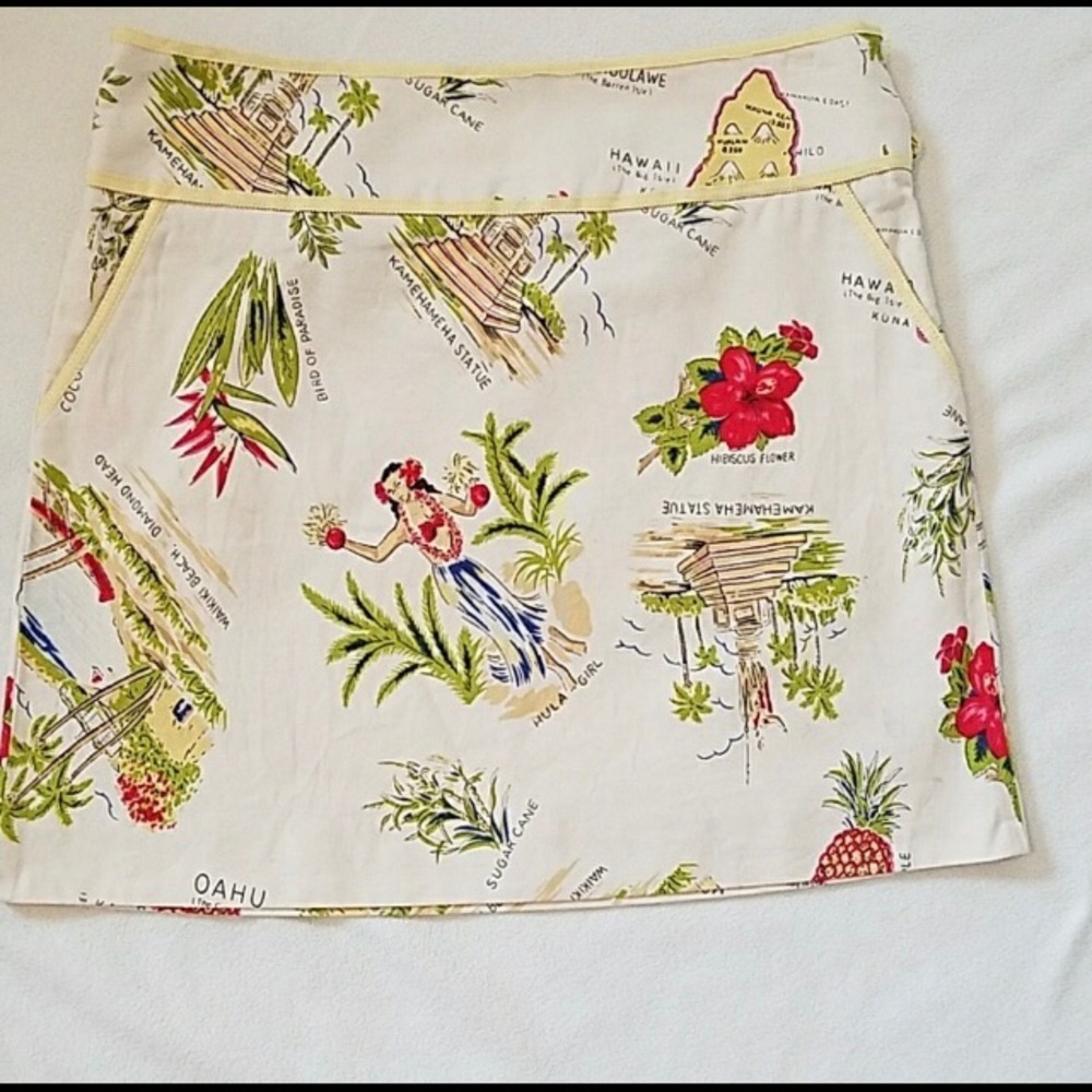 J Crew Skirt